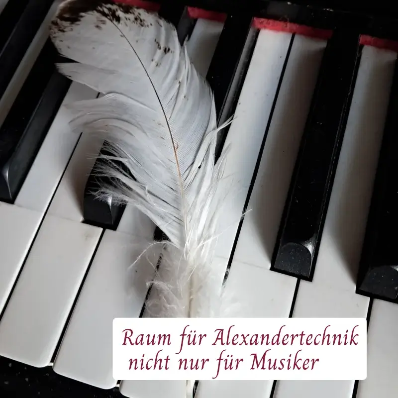 Nicht nur für Musiker Nicht nur für Musiker